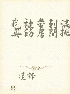 我被带到满是玩具的房间挑调作文