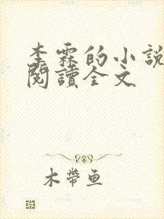 李霖的小说免费阅读全文