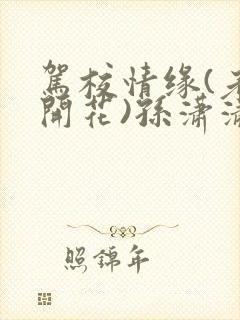 驾校情缘(老树开花)孙潇潇第一次趣笔阁封面