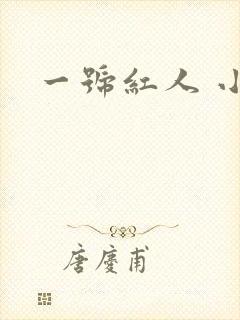一号红人 小说