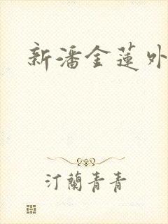 新潘金莲外传封面