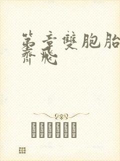 第章双胞胎姐妹齐飞封面