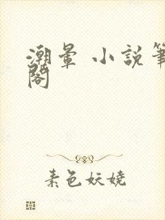 潮晕 小说笔趣阁