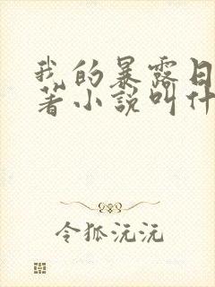 我的暴露日记原著小说叫什么