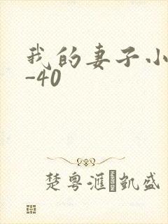 我的妻子小谨1-40