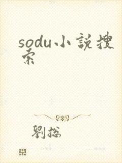 sodu小说搜索