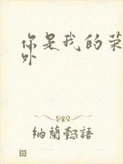 你是我的荣耀番外