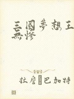 三国梦想王元姬无惨