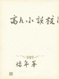高h小说校园封面