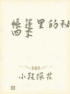 帐篷里的秘密第四季