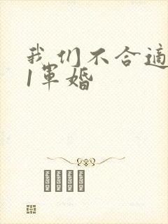 我们不合适1v1军婚