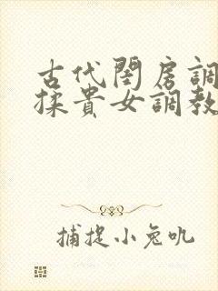 古代闺房调教h揉贵女调教记