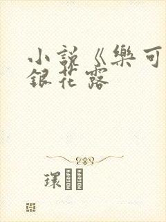 小说《乐可》金银花露封面