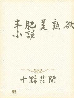 丰肥美熟欲妇乱小说封面