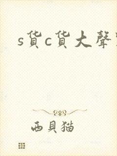 s货c货大声点封面