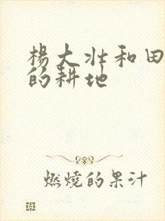 杨大壮和田桂花的耕地封面