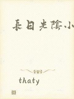 长日光阴小说