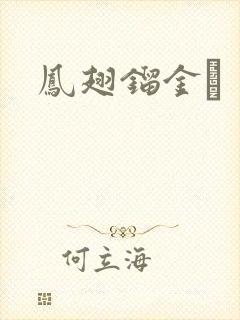 凤翅镏金镋封面