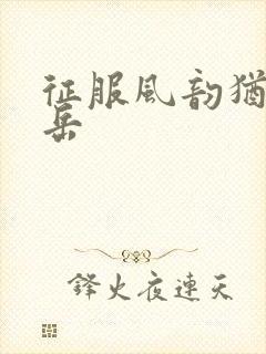 征服风韵犹存的岳封面