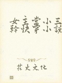 女主当小三的高干快穿小说禾火火封面