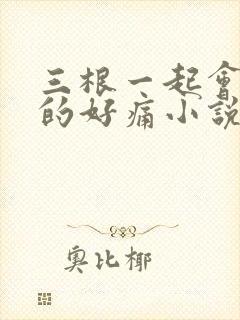 三根一起会坏掉的好痛小说
