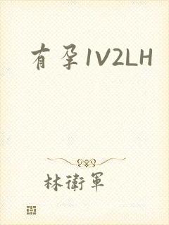 有孕1V2LH