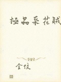 极品采花贼
