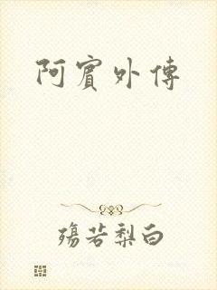 阿宾外传封面