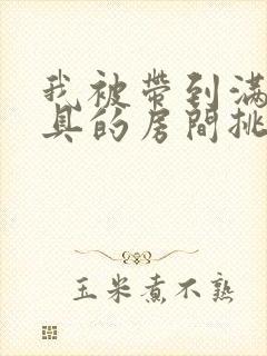 我被带到满是玩具的房间挑调作文