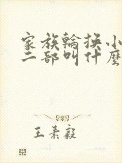 家族轮换小说第二部叫什么名字
