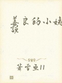 善良的小姨子小说