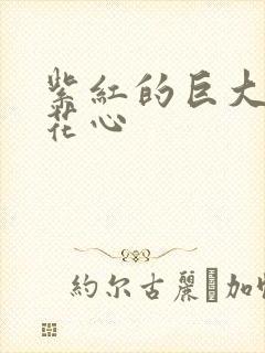 紫红的巨大顶开花心