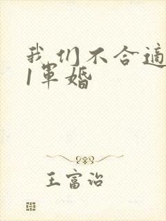 我们不合适1v1军婚