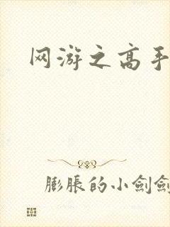 网游之高手寂寞