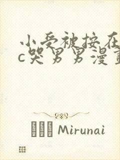 小受被按在墙上c哭男男漫画