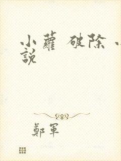 小萝 破除 小说