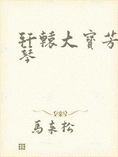 轩辕大宝芳菲雅琴