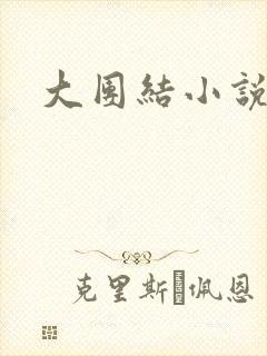 大团结小说下载