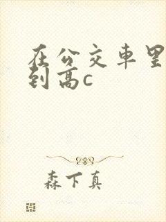 在公交车里c弄到高c