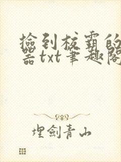 捡到校霸的遥控器txt笔趣阁封面