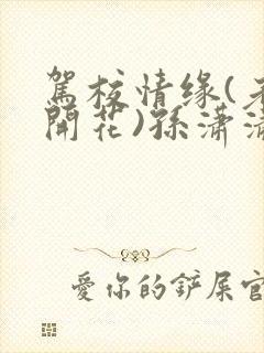 驾校情缘(老树开花)孙潇潇第一次趣笔阁