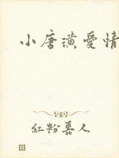 小唐璜爱情历史