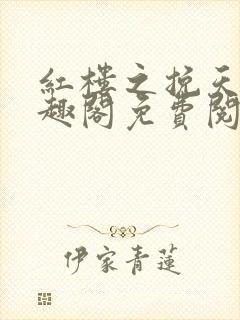 红楼之挽天倾笔趣阁免费阅读