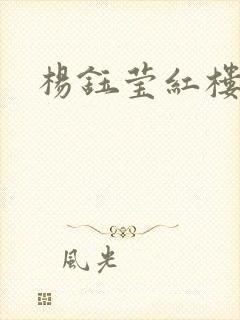 杨钰莹红楼封面