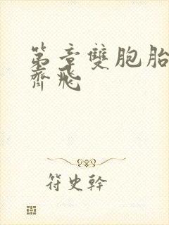 第章双胞胎姐妹齐飞