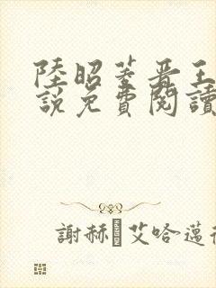陆昭菱晋王的小说免费阅读封面