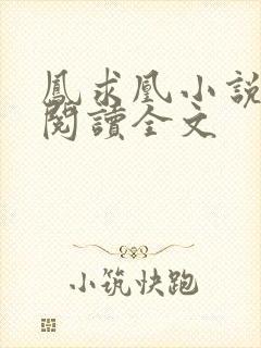 凤求凰小说免费阅读全文