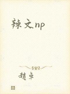 辣文np