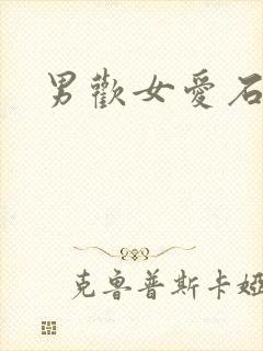 男欢女爱石封面