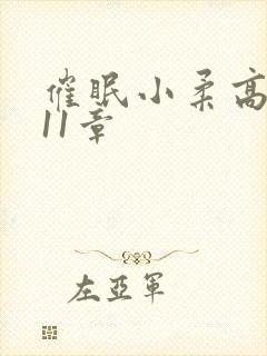 催眠小柔高达第11章